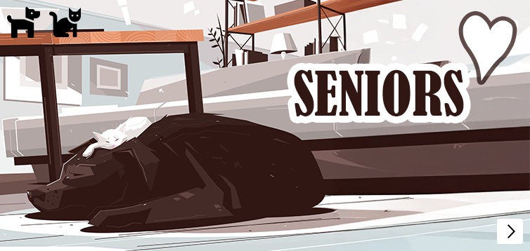 Theme-senior